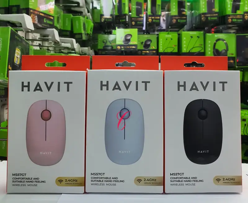 Havit MS57GT Comfortable Ambidextrous Wireless Mouse