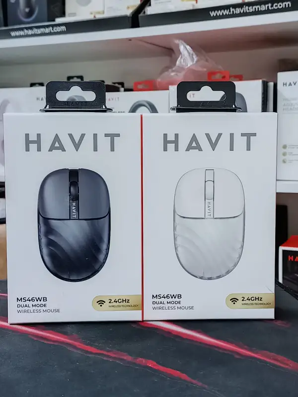 HAVIT MS46WB Dual Mode Wireless Mouse