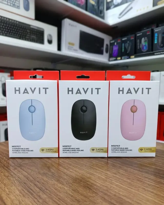 Havit MS57GT Wireless Mouse